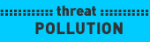 Threats to the River: Pollution
© WWF
© WWF