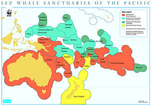 Whale sanctuaries cover 30km2 of ocean in the Pacific
© WWF-SPPO
© WWF-SPPO