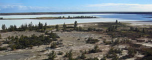 Beza-Mahafaly Plateau, Madagascar / ©: Thomas SCHULTZ-JAGOW / WWF / ©: Thomas SCHULTZ-JAGOW / WWF