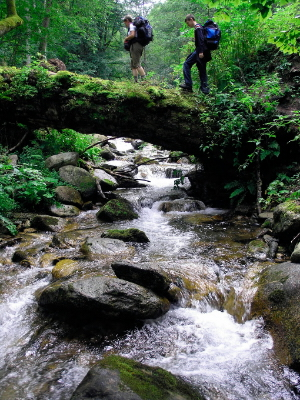 Hikers in Protected Area, Carpathian
© WWF-DCPO
© WWF-DCPO