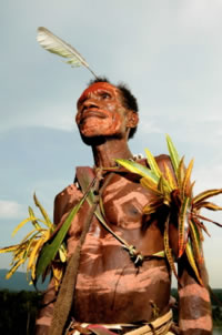 Job, a Pukapuki village local in traditional costume, East Sepik province, Papua New Guinea. ...
© Brent Stirton/Getty Images / WWF-UK
© Brent Stirton/Getty Images / WWF-UK