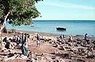 Establishment of 7500 km2 Quirimbas National Park helps protect one of the richest areas of coral reefs, mangroves, coastal forest and woodland, turtles, dugongs and elephants. This is an important step towards the creation of an ecologically-representative network of MPAs in Mozambique