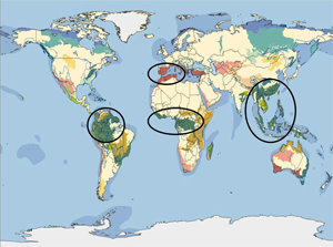 Mapa de Áreas Prioritárias para a Rede Ibérica do GFTN
© WWF - Mediterrâneo Mapa de Áreas Prioritárias para a Rede Ibérica do GFTN
© WWF - Mediterrâneo