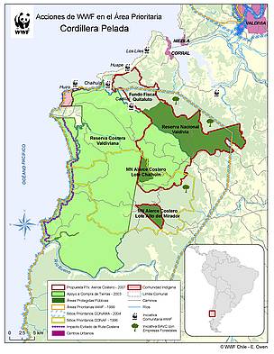 Mapa con las acciones de WWF en el Área Prioritaria Cordillera Pelada, en la comuna de Corral, ... / ©: WWF Chile / ©: WWF Chile