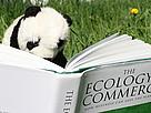 Коя е твоята любима книга с природозащитна тематика?
© WWF Panda reading.
© WWF