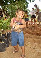Reforestation, Paraguay