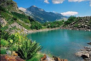 Russian Caucasus
© WWF-Russia / Sergey Trepet
© WWF-Russia / Sergey Trepet