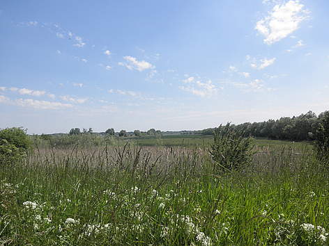 Ribnjak Podunavlje
© Petra Boic Petrac / WWF rel=