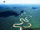 Rio Tamaya meanders through the Amazon lowlands. Large beaches along the river and man leafless canopy trees during the dry season. Department Ucayali, Peru.