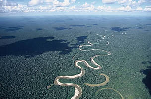 The Amazon: an ecoregion
© WWF / André BÄRTSCHI
© WWF / André BÄRTSCHI