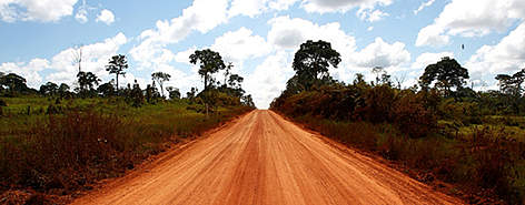 New roads are built and paved in the Amazon every day, providing access to previously remote ...
© Brent Stirton / Getty Images / WWF rel=