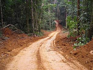 Road for Belinga mine exploration, near Minkebe National Park, Gabon
© WWF
© WWF