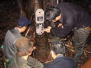 WWF and other organisations are using camera traps to better understand clouded leopards and assess ...
© Sameer Singh/WWF AREAS A camera trap is set up
© Sameer Singh/WWF AREAS