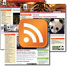 Web feeds are an easy way for you to keep updated automatically on websites you like