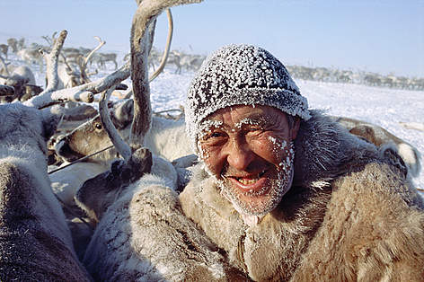 The caribou is central to the cultures, societies and economies of many peoples in northern North ...
© WWF / Bryan Alexander/www.arcticphoto.com rel=