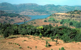 A sacred forest grove saved from destruction to protect the gods living in it, Maharashtra, India.
© WWF / Mauri RAUTKARI
© WWF / Mauri RAUTKARI