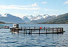 Villa Leppefisk salmon farm, Vestnes, Norway.
