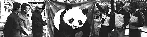 A WWF International delegation to China, visiting the Beijing zoo at the invitation of the ...
© WWF Intl. / WWF rel=