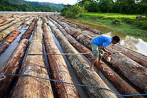 The onward journey: Hundreds of logs have been lashed together for transport downriver. The painted ...
© WWF / Simon Rawles
© WWF / Simon Rawles