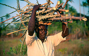 Millions of rural people rely on resources extracted from the woodlands, including fuelwood, ...
© Sandra MBANEFO OBIAGO / WWF
© Sandra MBANEFO OBIAGO / WWF