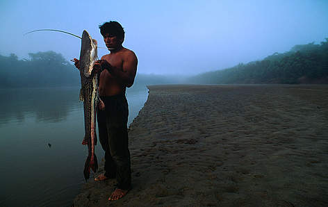 Indígena Piro sostiene Bagre recién atrapado en el Río Manu, Perú.
/ ©: © AndrÈ BƒRTSCHI / WWF rel=