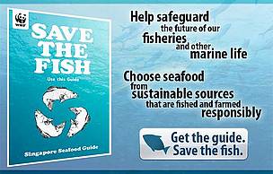 Your Singapore Seafood Guide is here! Get the guide. Save the fish!
© WWF Singapore
© WWF Singapore