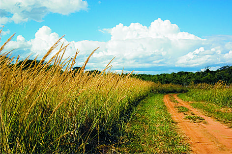 Serranía de San Rafael
© Fernando Allen for WWF Paraguay Serranía de San Rafael rel=
