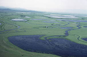 Floodplains of the Amur river, Siberia, Russian Federation.
© Thomas Neumann / WWF
© Thomas Neumann / WWF