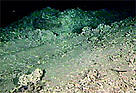Smashed and dead cold-water coral fragments in a trawling ground on the Norwegian continental shelf.