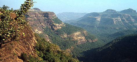 Bor Ghat Forest Western Ghats, India.
© WWF / Mauri RAUTKARI rel=