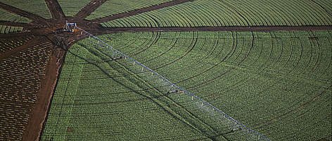 Intensive cultivation of soybeans using rotary irrigation system, Goias State, Brazil.
© Edward Parker / WWF rel=