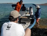 WWF staff in the field - want to join them? Visit our jobs page
© WWF / Gustavo Barra
© WWF / Gustavo Barra