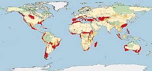G200 Status Map
© WWF
© WWF