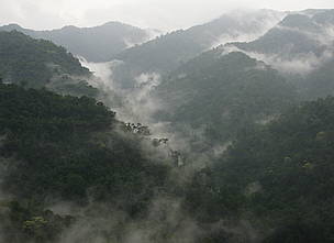 Misty mountains in Kuiburi National Park, Kayah Karen Tenasserim, Thailand<br>© Supol Jitvijak / WWF Greater Mekong © Supol Jitvijak / WWF Greater Mekong Misty mountains in Kuiburi National Park, Kayah Karen Tenasserim, Thailand
