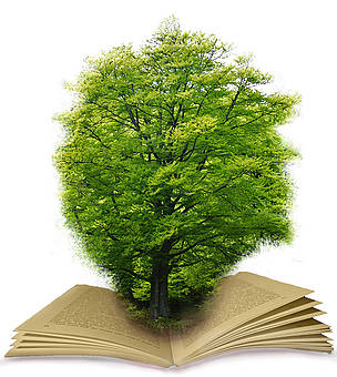 Utilizarea hârtiei recliclate de către marile edituri ar fi unul dintre paşii de bază pentru ...
© WWF Switzerland pocket book rating
© WWF Switzerland