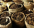 Medicinal plants' market. Chengdu, Sichuan Province, China.