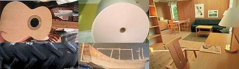 A few examples from a wide variety of uses of timber that touch our lives.
© WWF A few examples from a wide variety of uses of timber that touch our lives. rel=