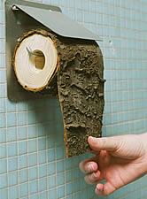 Don't flush our forests and wildlife down the toilet
© Kurt Prinz Don't flush our forests and wildlife down the toilet
© Kurt Prinz