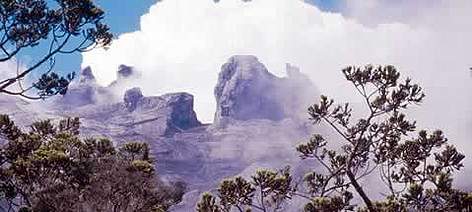 View to Tunku Abdul Rahman Peak (3948m) from the stunted forest at about 3200m, Mount Kinabalu ...
© WWF / Gerald S. CUBITT View to Tunku Abdul Rahman Peak (3948m) from the stunted forest at about 3200m, Mount Kinabalu ... rel=