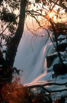 Victoria Falls at sunset, seen from the Zambian side.
© WWF / Martin HARVEY Victoria Falls at sunset, seen from the Zambian side.
© WWF / Martin HARVEY