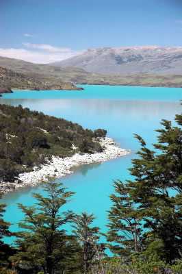 Azure glacier melt water in Lago Nordenskjold bordered by Patagonian forest. Lago Nordenskjold, ...
© WWF / James FRANKHAM Azure glacier melt water in Lago Nordenskjold bordered by Patagonian forest. Lago Nordenskjold, ...
© WWF / James FRANKHAM