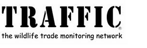 Traffic logo
© Traffic Traffic logo
© Traffic
