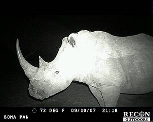Wildlife caught on camera in Pilanesberg National Park, South Africa
© WWF
© WWF