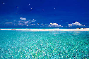 Tubbataha Reef, Philippines
© Tommy SCHULTZ
© Tommy SCHULTZ