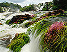 Waterfall in Tumucumaque Mountains National Park, Brazil
© Zig Koch
© Zig Koch