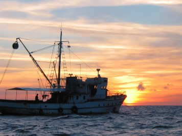 A tuna fishing vessel
© WWF A tuna fishing vessel rel=