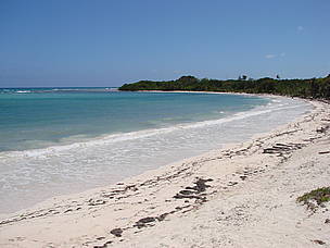 White sand beaches. Turneffe, Belize.
© WWF/Gilda ABURTO
© WWF/Gilda ABURTO
