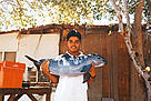 Vaquita (Phocoena sinus) killed in a fishing net, Gulf of California, Mexico.