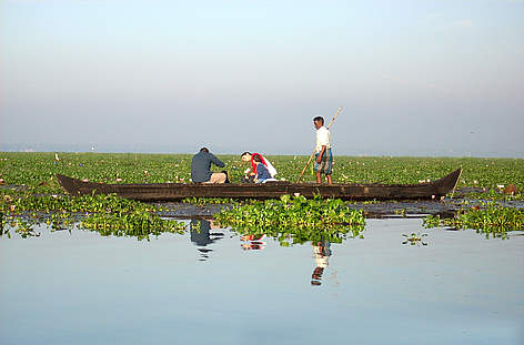Tourists on a country boat amongst lotus blooms in Vembanad Lake, Kerala, India.
© P. K. Niyogi Tourists on a country boat amongst lotus blooms in Vembanad Lake, Kerala, India. rel=