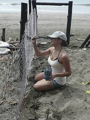 Volunteer helping marine turtle conservation project in Junquillal
© Ana Fonseca, WWF LAC
© Ana Fonseca, WWF LAC